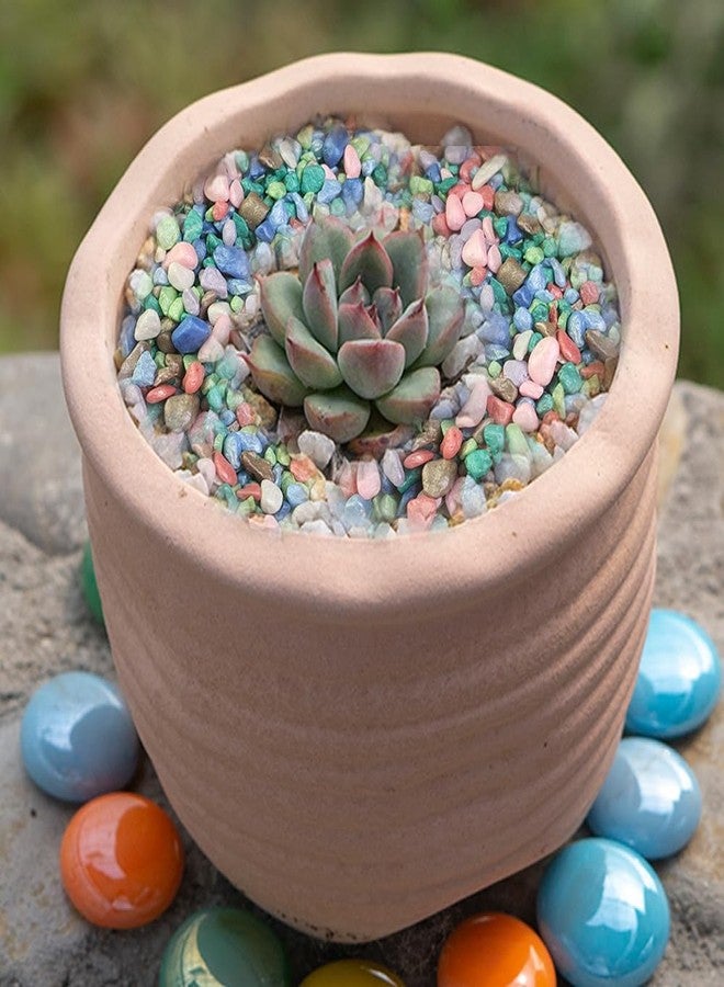 HappyFiller Colored Pea Gravel, Indoor Plants Succulent Cactus Topper Dressing Pebbles Fairy Garden Terrarium,Polished Mini Stones 3-5mm for Aquarium Fish Tank,Vase Filler,Resin Arts Crafts,0.88 LB - Image 2